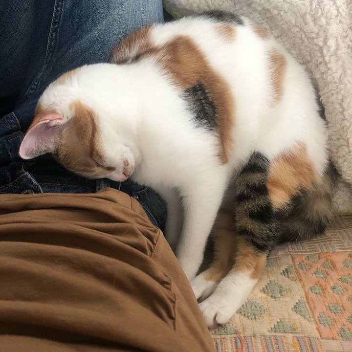 94f05f13 0d23 4f65 9d45 ca0a1778bae2 1584846677750