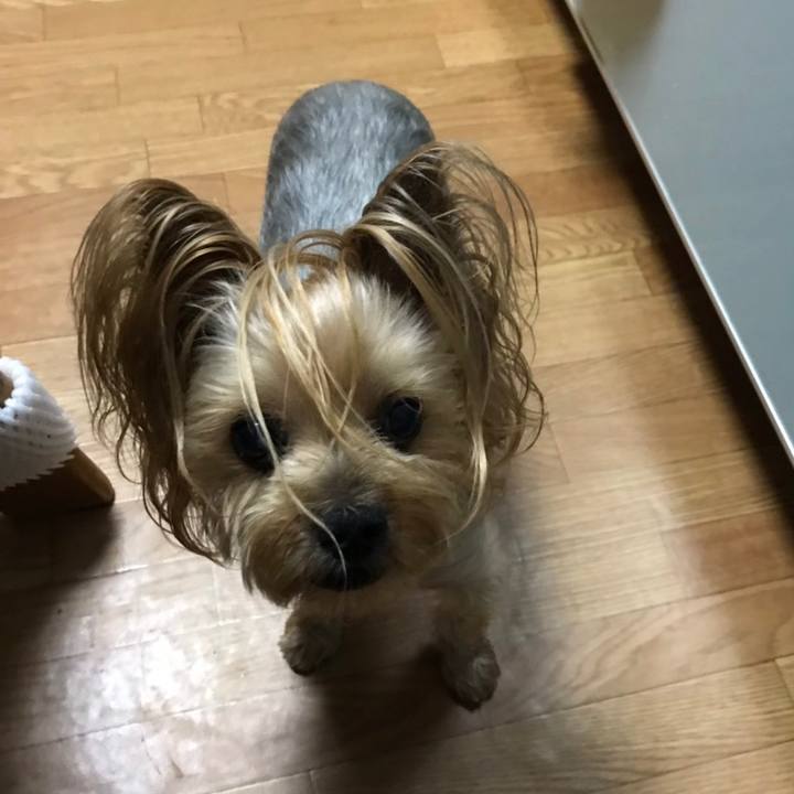 94f06103 15ed 4fb9 8565 a548574ffbbd 1565519219091