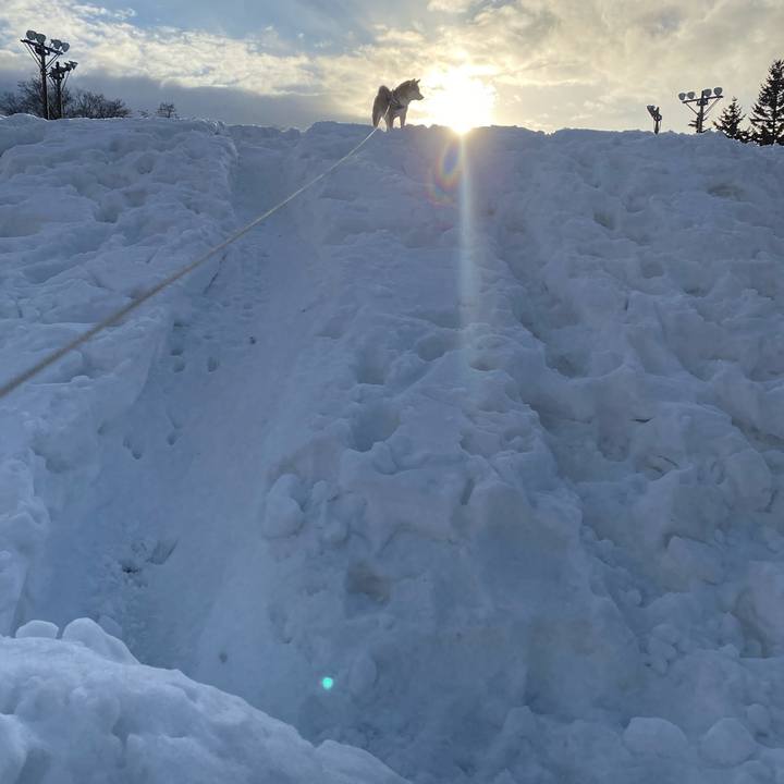 94f062b2 4123 4a23 85eb 0249c03f319a 1611747033023