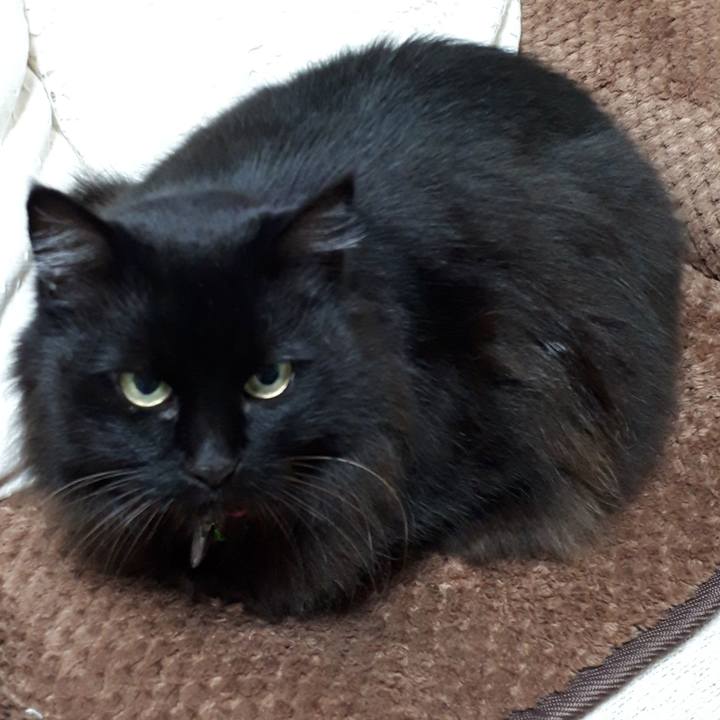 94f0b12e c88a 4bff 8341 b3529b427d34 1518293288327