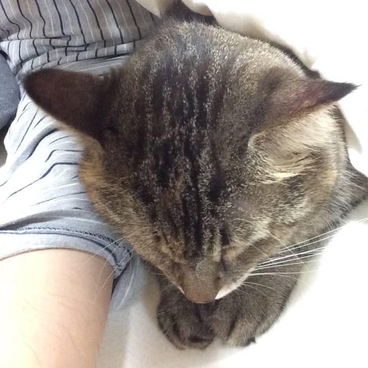 94f0b554 c997 4e75 a236 f9de5472f9dc 1539597338178