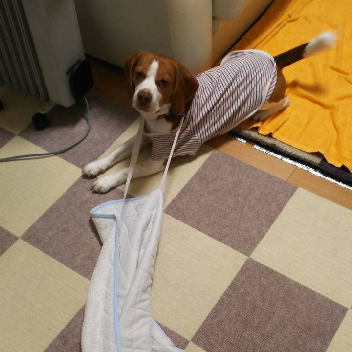 94f0cb64 8d8e 405d 8f8e df1b610aa3ee 1580860283917