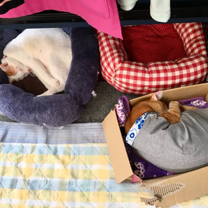 94f0d6ca 8d22 4357 a2b8 2d7a9f403fa1 1538889251159