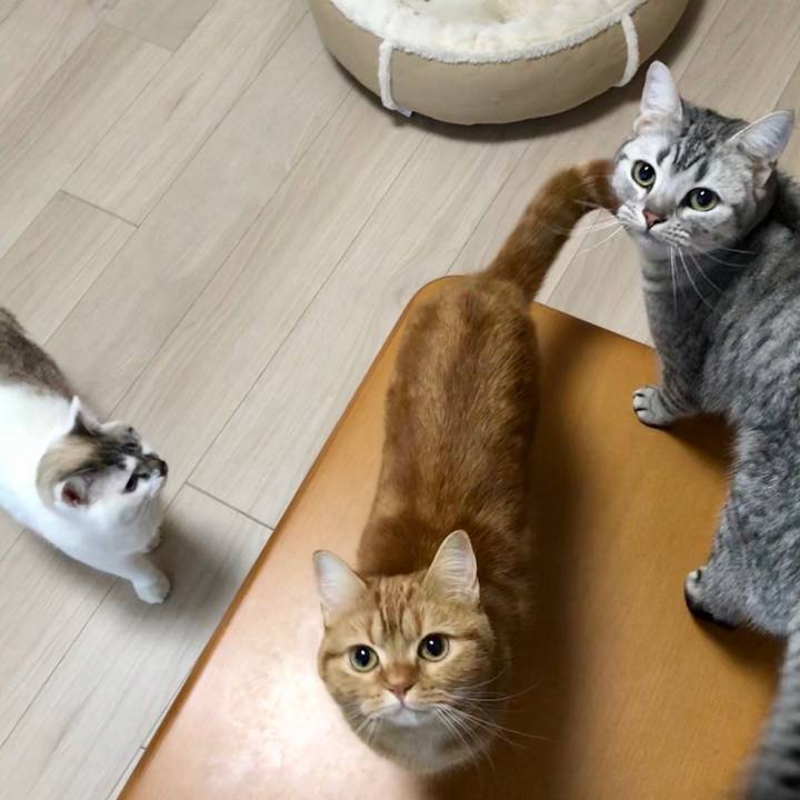 94f1321a 7053 4917 822d beda689689b9 1516920079414