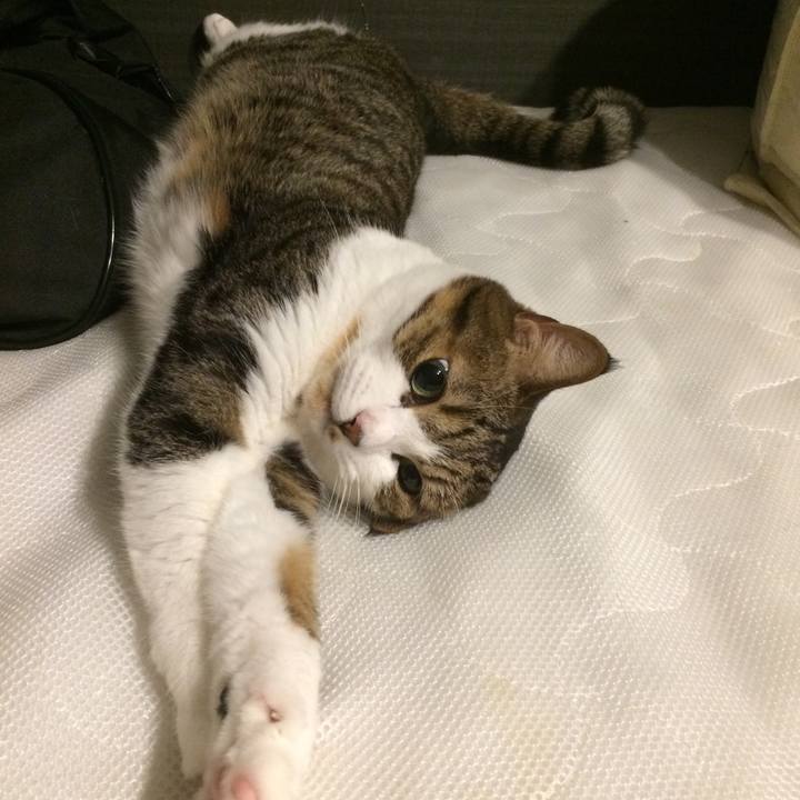 94f1363a a880 407a 816c d126f763e727 1531222518864