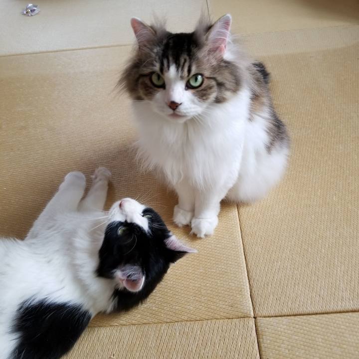 94f14dc2 3ee7 41e2 a71e 6a681703b492 1531820113331