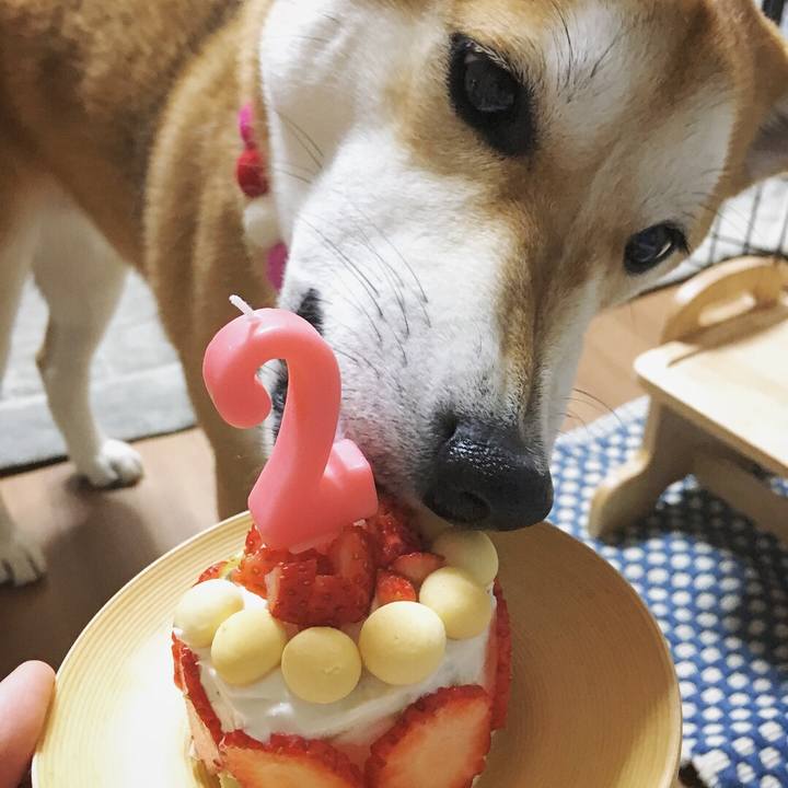 94f1664f c012 40c2 81a9 0bb0255ad133 1521832550048