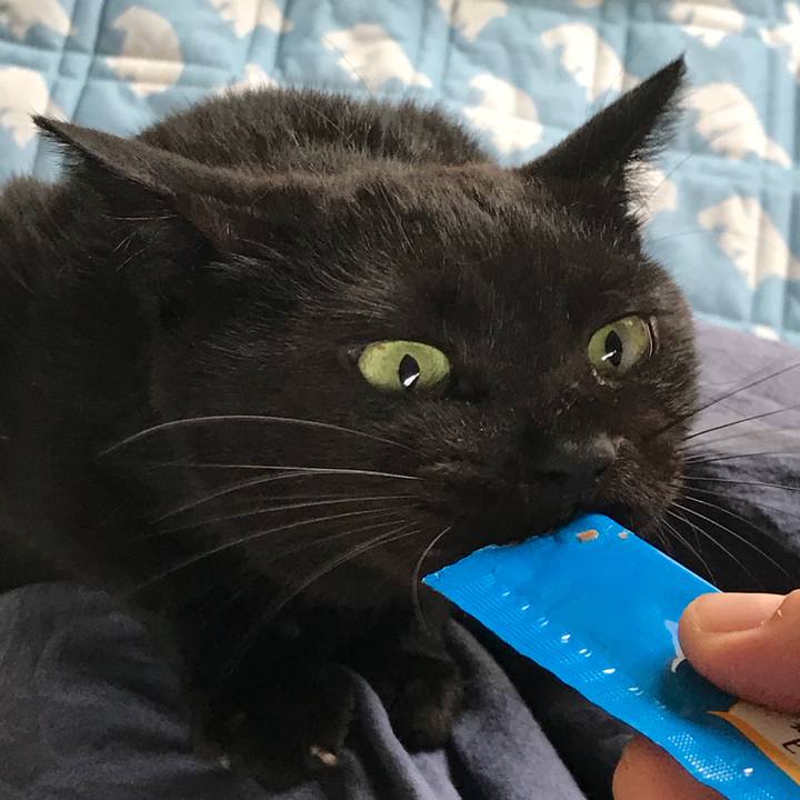 94f1af78 2c00 4e76 bbcc b1e68e6fd145 1533796387644