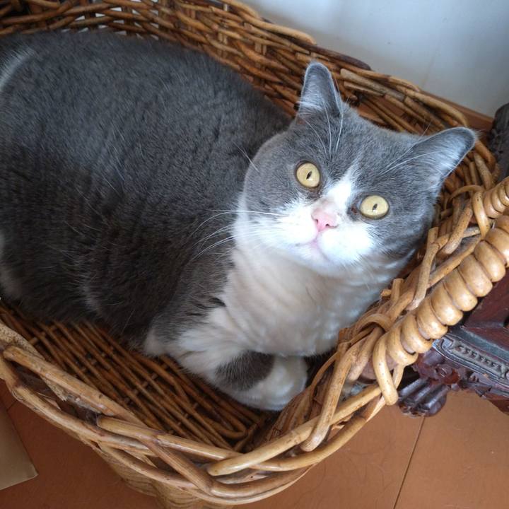 94f1c571 b9e3 42c4 ae46 32f44c1343bc 1769059071298