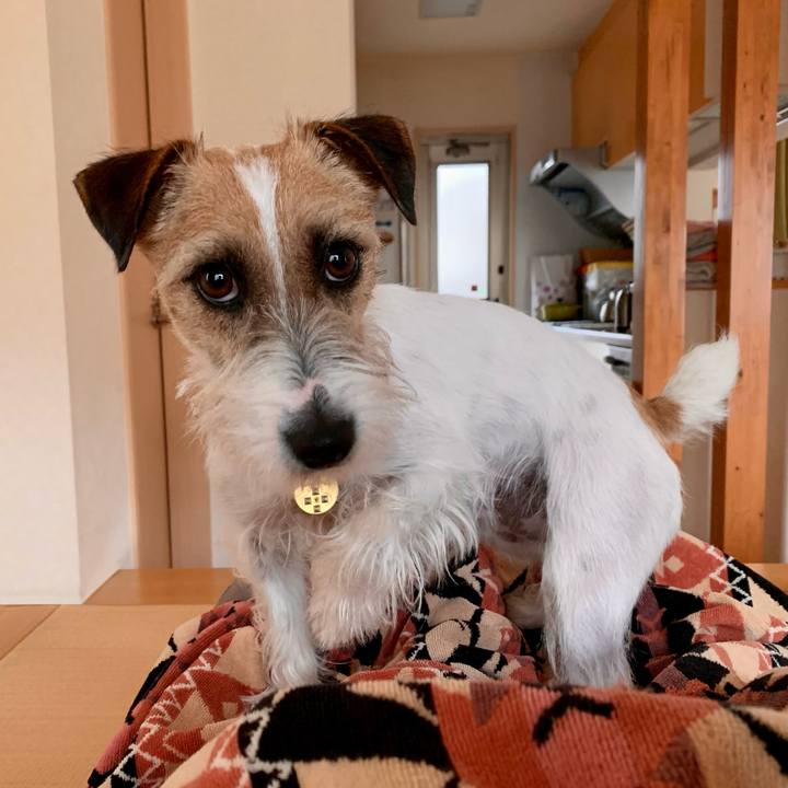 94f1d892 4401 4299 85ad 901b92452522 1614308002810