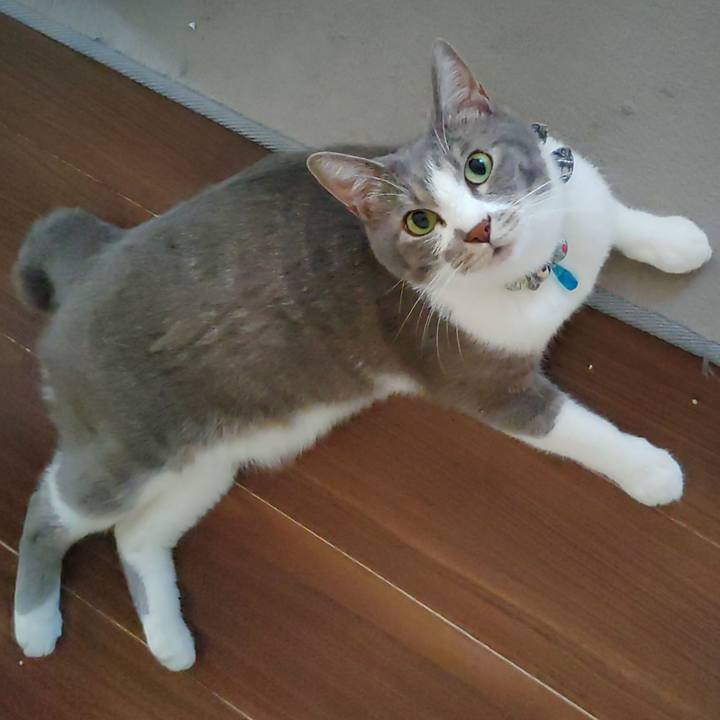 94f25b29 a273 4d31 a1b8 d4d9e36c47ee 1691100523603