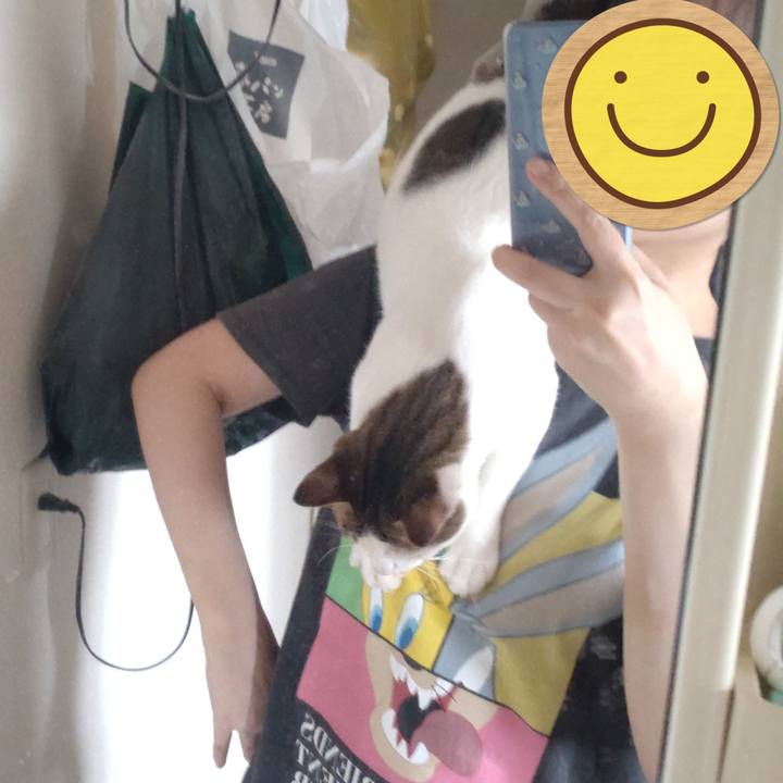 94f26d90 12a7 4cd6 9163 bbbaf47e72e2 1694934963939