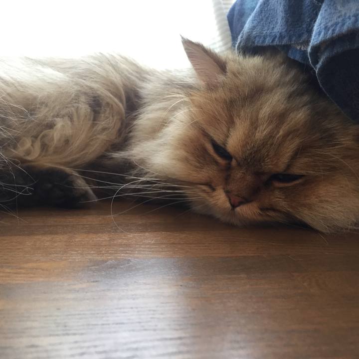 94f271e5 b642 433e a884 71772962cde3 1558849677530