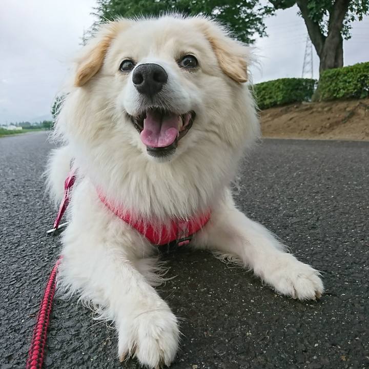 94f31093 354d 4d10 b1ce 0dd3b501d06f 1640394031662