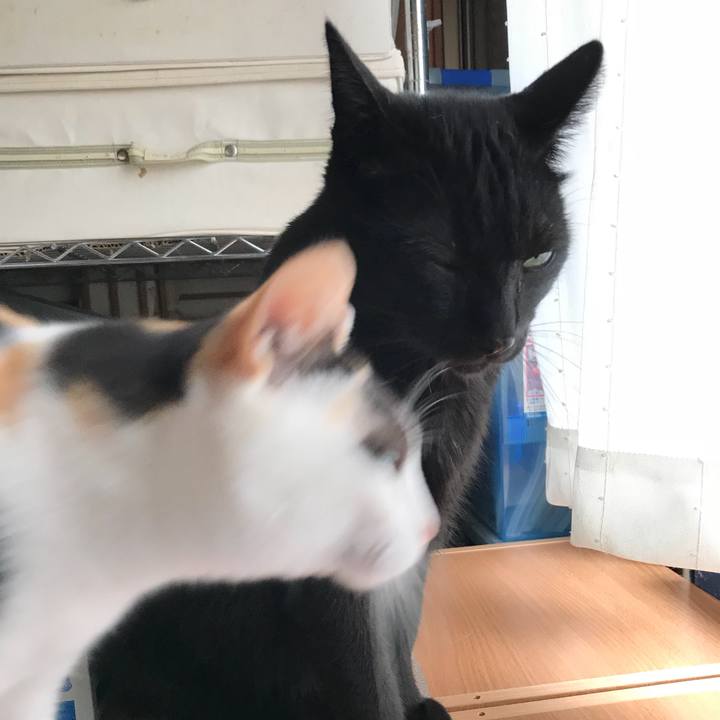 94f319e0 976e 4758 9540 bc38898cbd0d 1537231802377