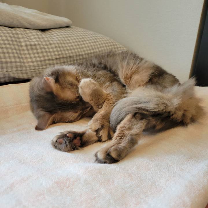 94f336eb c15f 47b7 838a 7d59be886c52 1632099624278