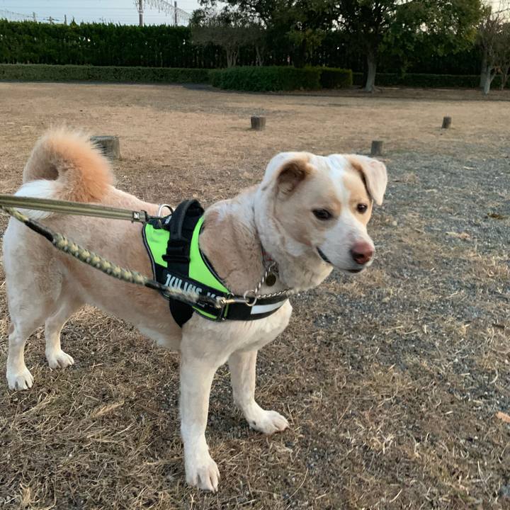 94f35fd5 a4ec 4bdb 8f27 b1d532f8ca8e 1549808921307