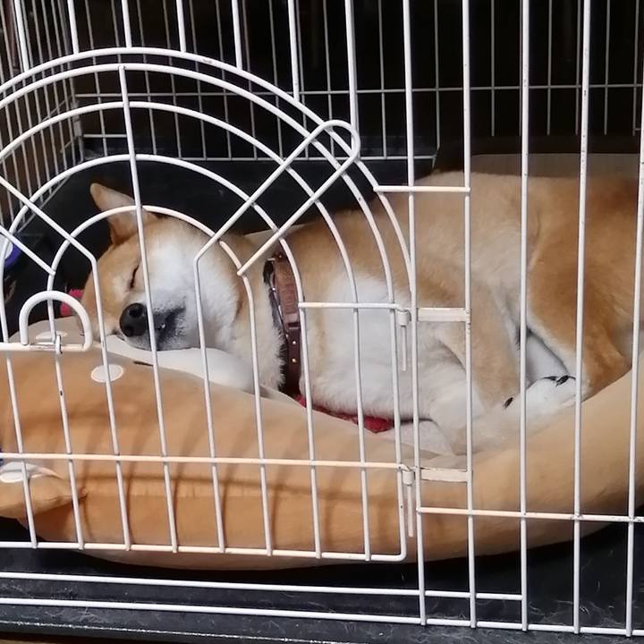 94f389b2 45e8 4ff0 ae3d 35945e8a99ac 1653310612209