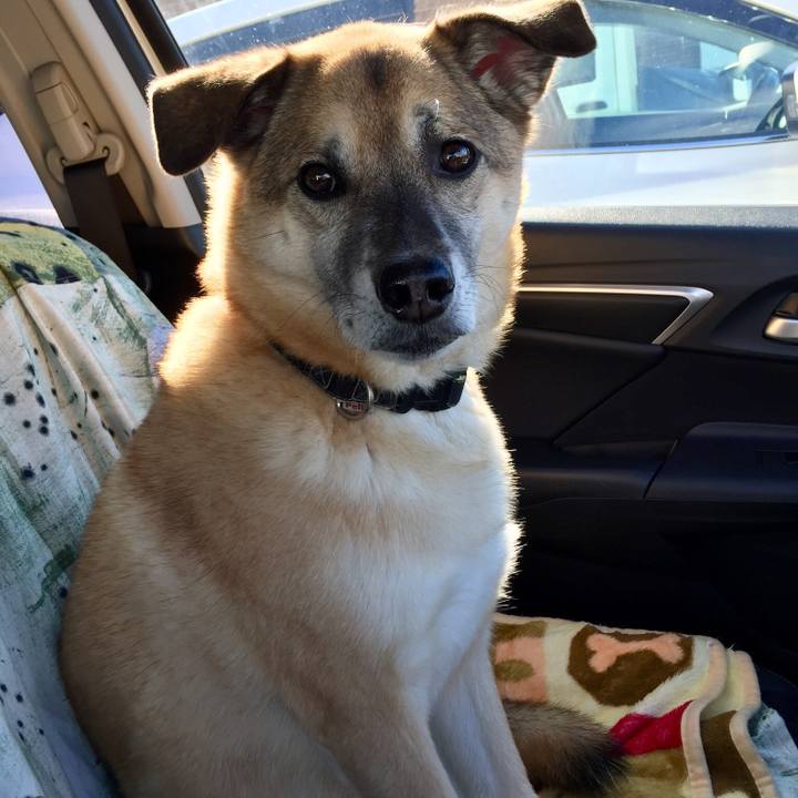 94f3ab52 a6c9 41be 923a 654b9fffc06e 1515808831665