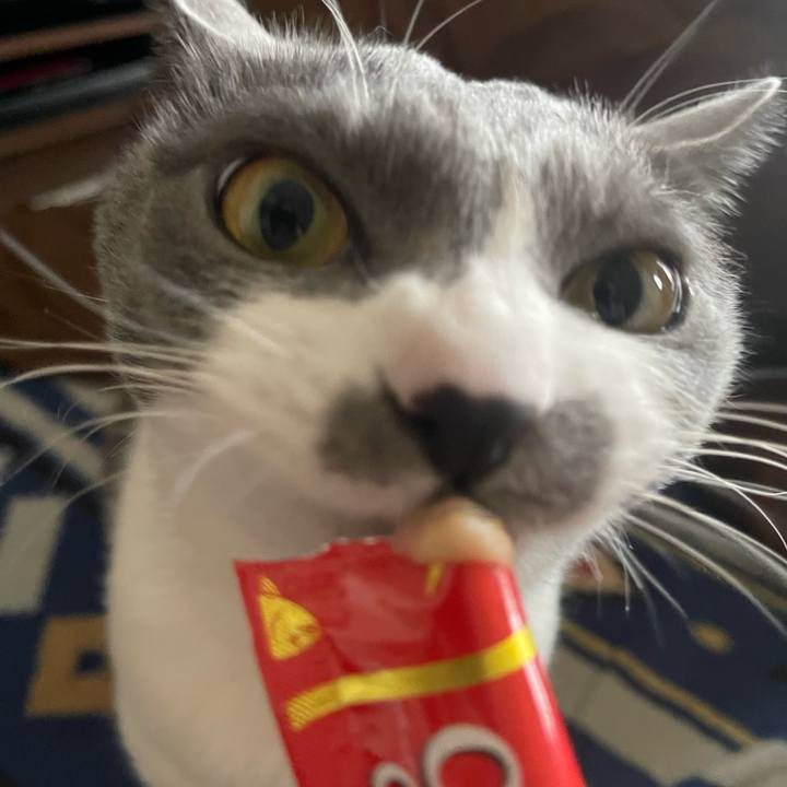 94f3b036 98ca 4c74 b09c 3c158cf6c9fa 1678434037554