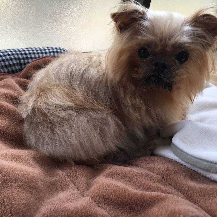 94f3c529 6056 4225 a8ae 0dd36a74d535 1519386113054