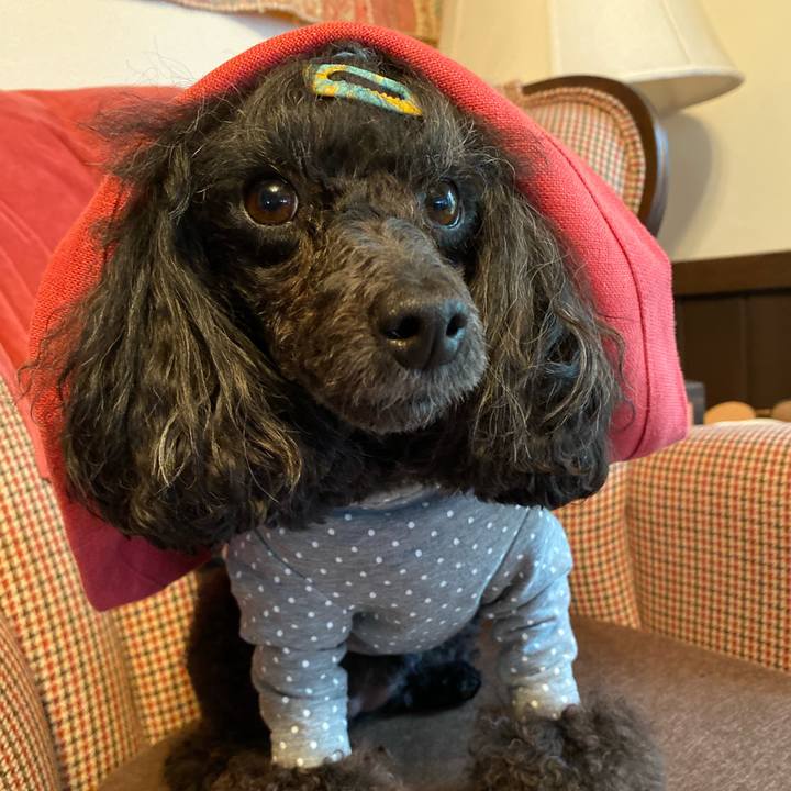 94f3c64f 167e 49c7 8699 54ae7dadbd75 1650930306815