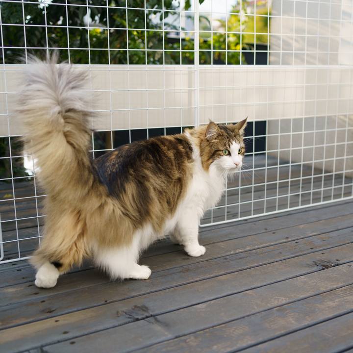 94f44bbd 0c10 4ec5 96e1 a4a39d2fc504 1650521486489