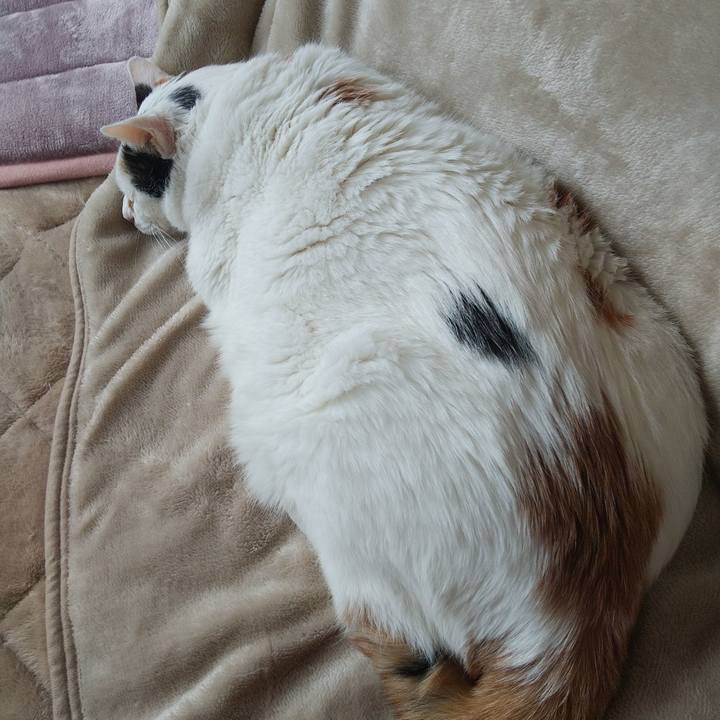 94f44c97 da39 45d3 96fc 3061627f0788 1667712113857