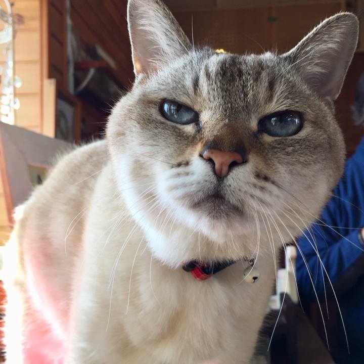 94f44e6c 2422 4404 856c 213f69c9c060 1582347044358