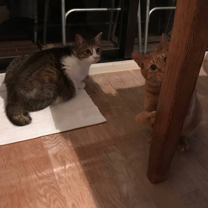 94f4583f 60f5 4c90 a656 1cd8a0d0b450 1531287840935