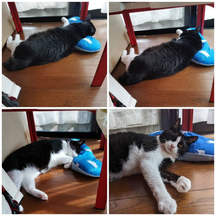 94f47c36 a02f 4293 b919 2f1ab5673f86 1695099164972