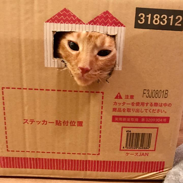 94f48f82 ecf3 4996 bd85 887f6f2c3242 1599605782338