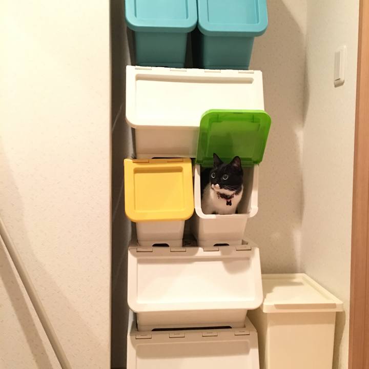 94f4edfb 4840 468c b59c 7dc9a36c59b3 1526185511095