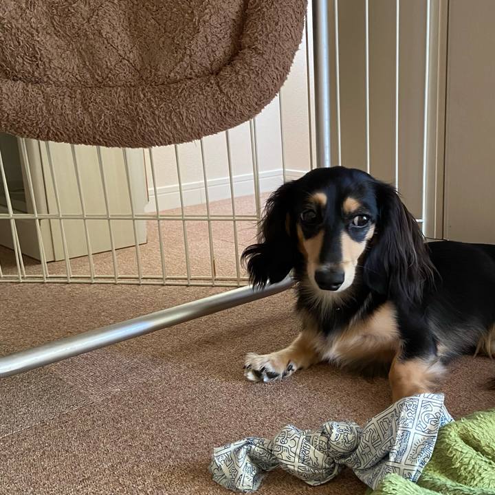 94f4fbf0 1ae0 4686 9c02 767e8404accf 1699497469108