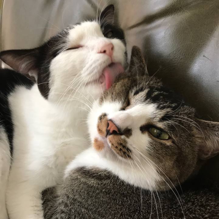 94f5088e c2ab 4c7f 97cc f37546f00902 1538532256866