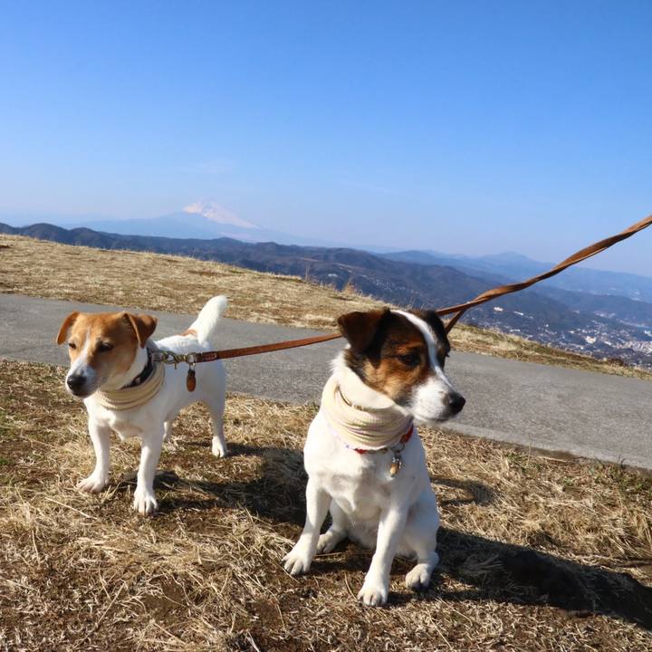 94f52eeb 3ca2 4770 a966 5cb89f1fa4ab 1613038538255