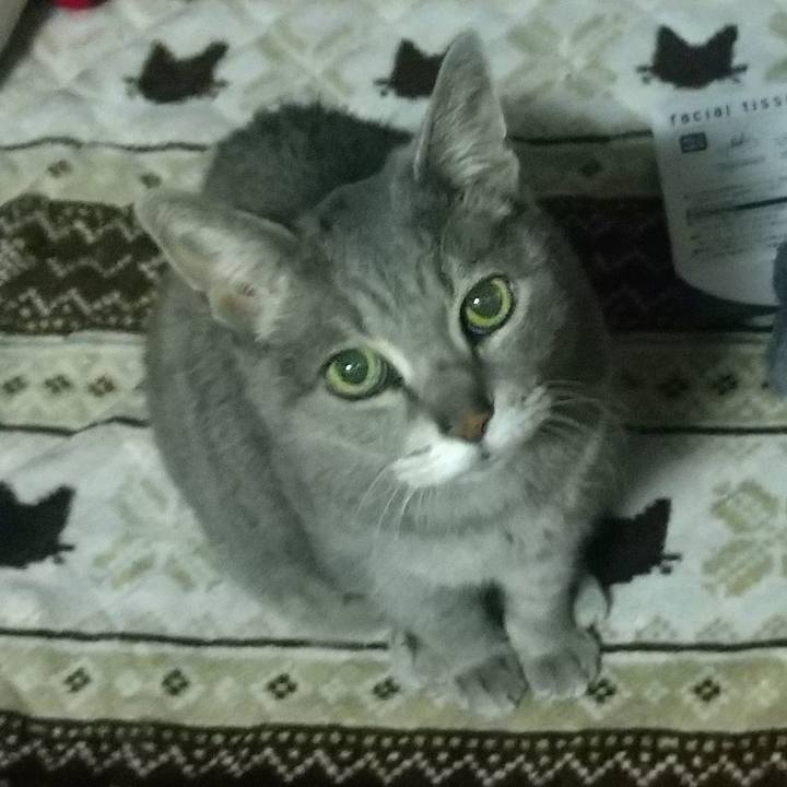 94f56b86 9d3c 43fe 8a4c dc1feae28bc2 1680430579045