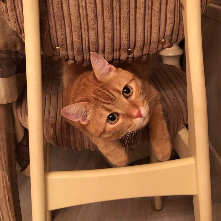 94f59fbf d07f 43b0 b306 4b6e06dd189e 1557905675924