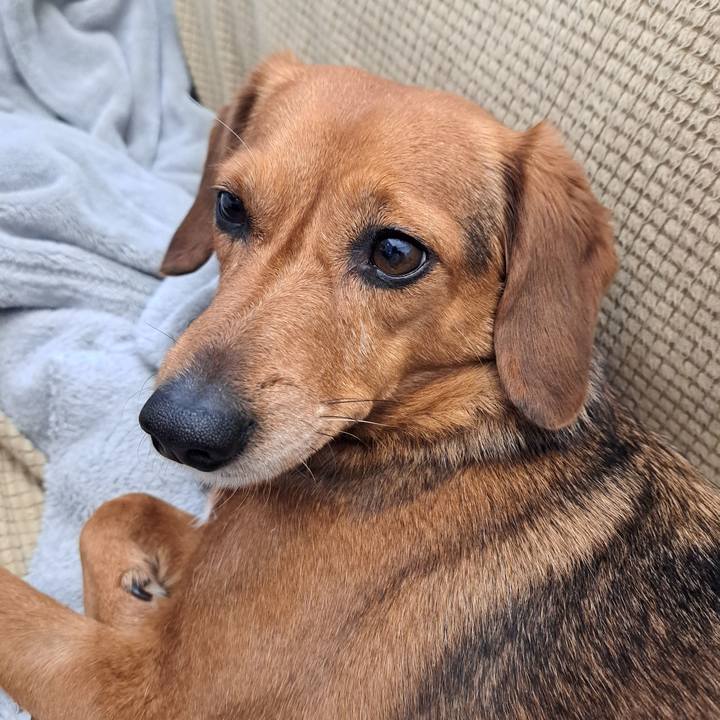 94f60025 6e24 48dc 99bb 82041cbbf4ff 1769861564191