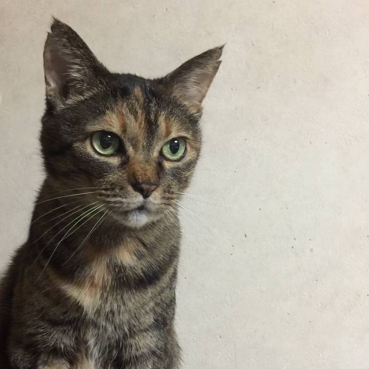 94f6115f ac61 4199 8761 bc6b03e30ac7 1546701110275