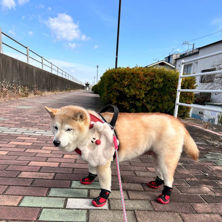 94f637ef 2c7f 4d0e ae33 cadc7f77b51f 1735102605142