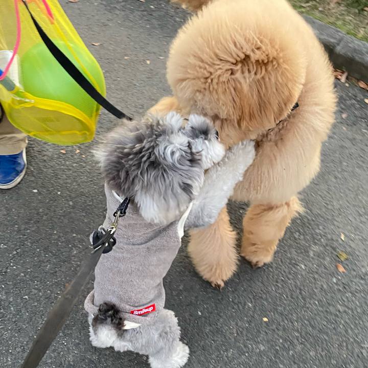 94f655ce 6262 41d3 891e 26b046a0484a 1605348395654