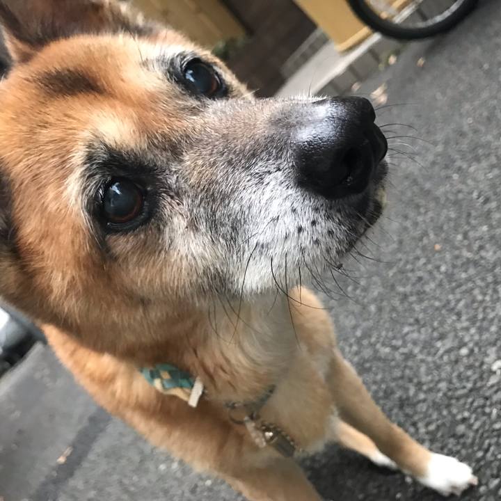 94f70a31 8ada 4213 82a3 cdcc95eb1f1c 1552301492262