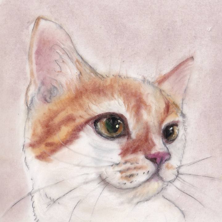 94f7718d 555e 4343 b1a1 1dcf496ae6bb 1738210111577