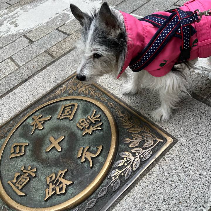 94f779dd d873 4965 b8a1 24666ca65c04 1680417288432