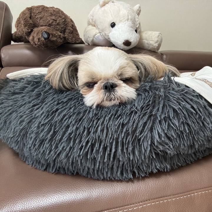 94f78ef2 bc2c 483c aabd 52c9b7d2d606 1754100749379