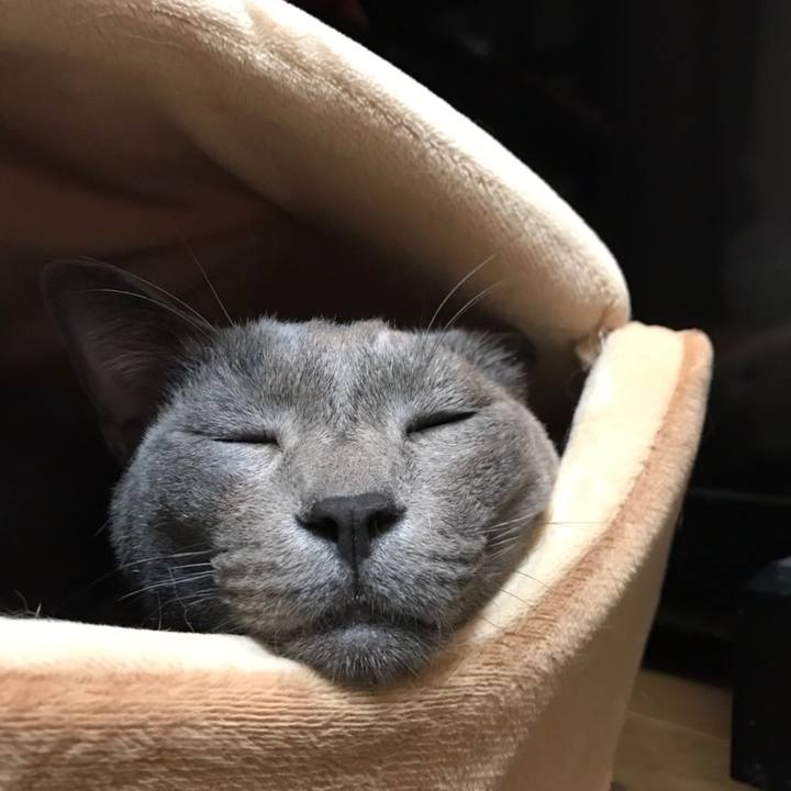 94f7d287 4ec2 4dca 8baf 6ac69ed615b2 1545991674907