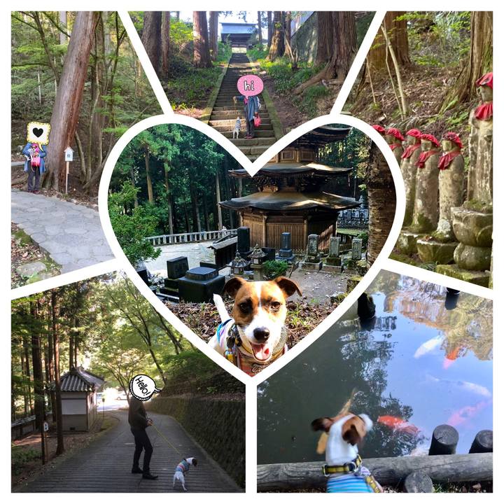 94f7e330 c83c 473c ad0b d0903536ddb0 1570704508843