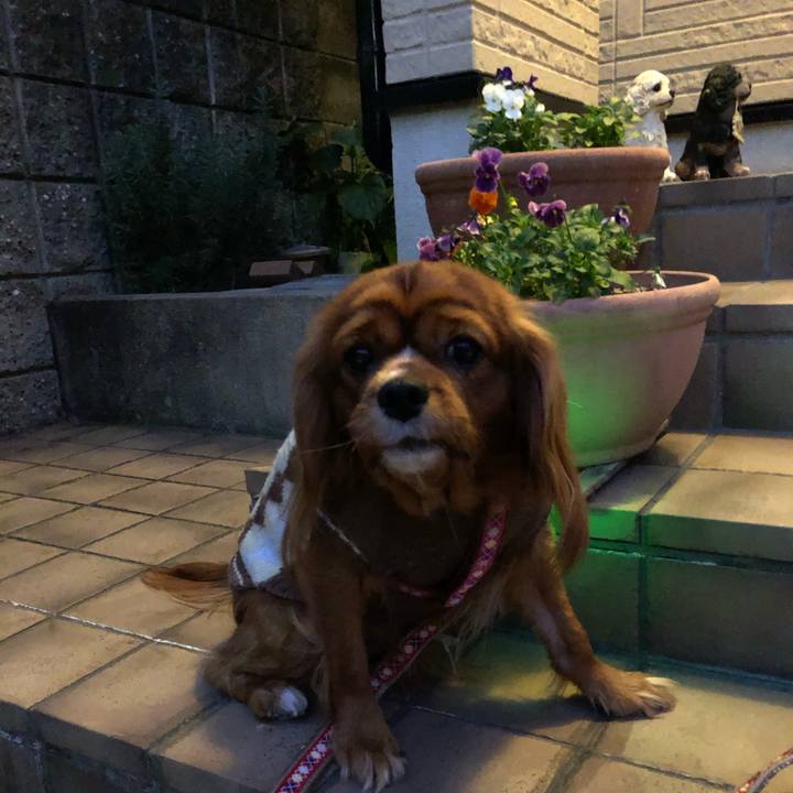 94f7f78b 845c 4295 9b4e 2708ce33df0b 1575706999679