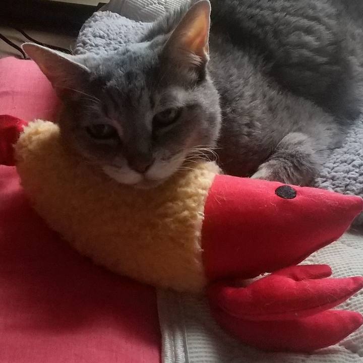 94f7f906 0908 4fc3 9d72 726264afad67 1695856262290